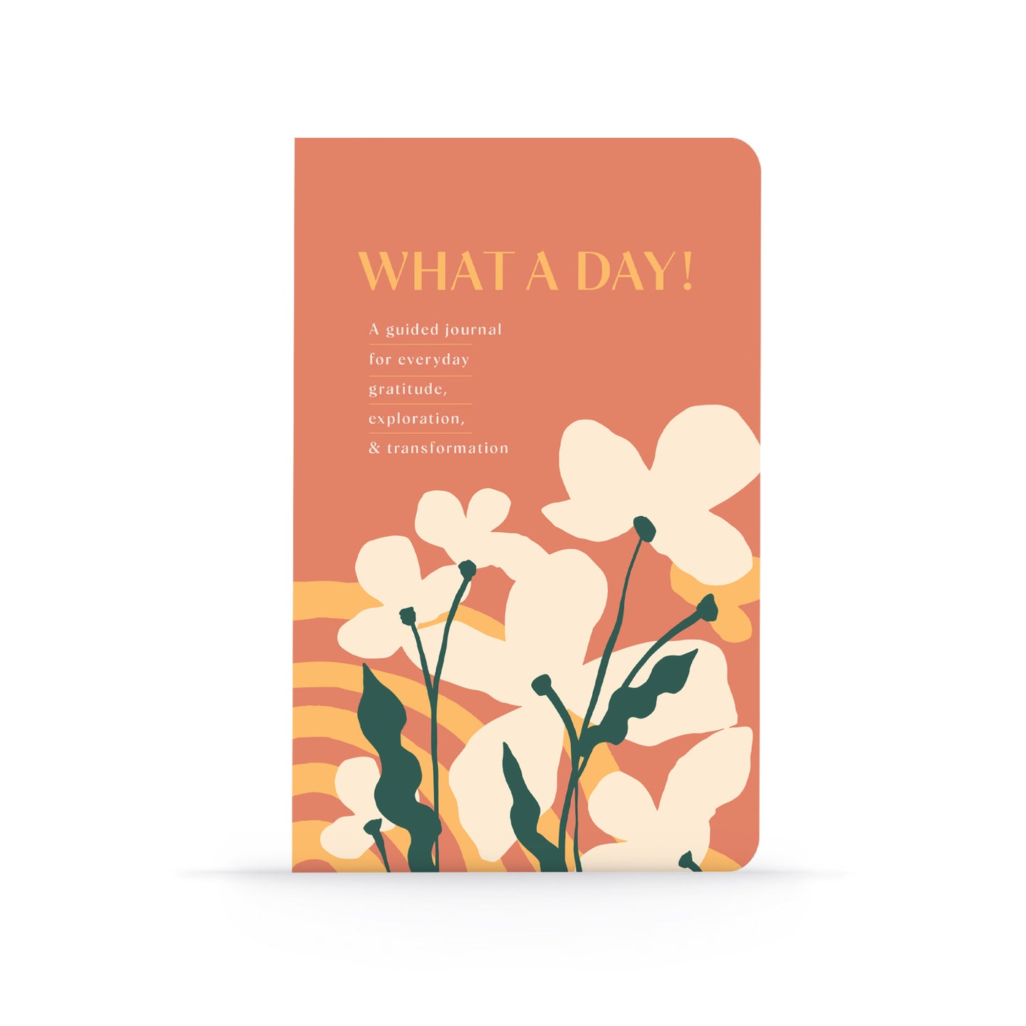 Guided Journal - What a Day